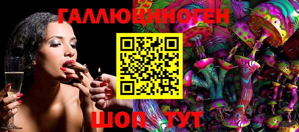 Псилоцибиновые грибы Psilocybe Великие Луки